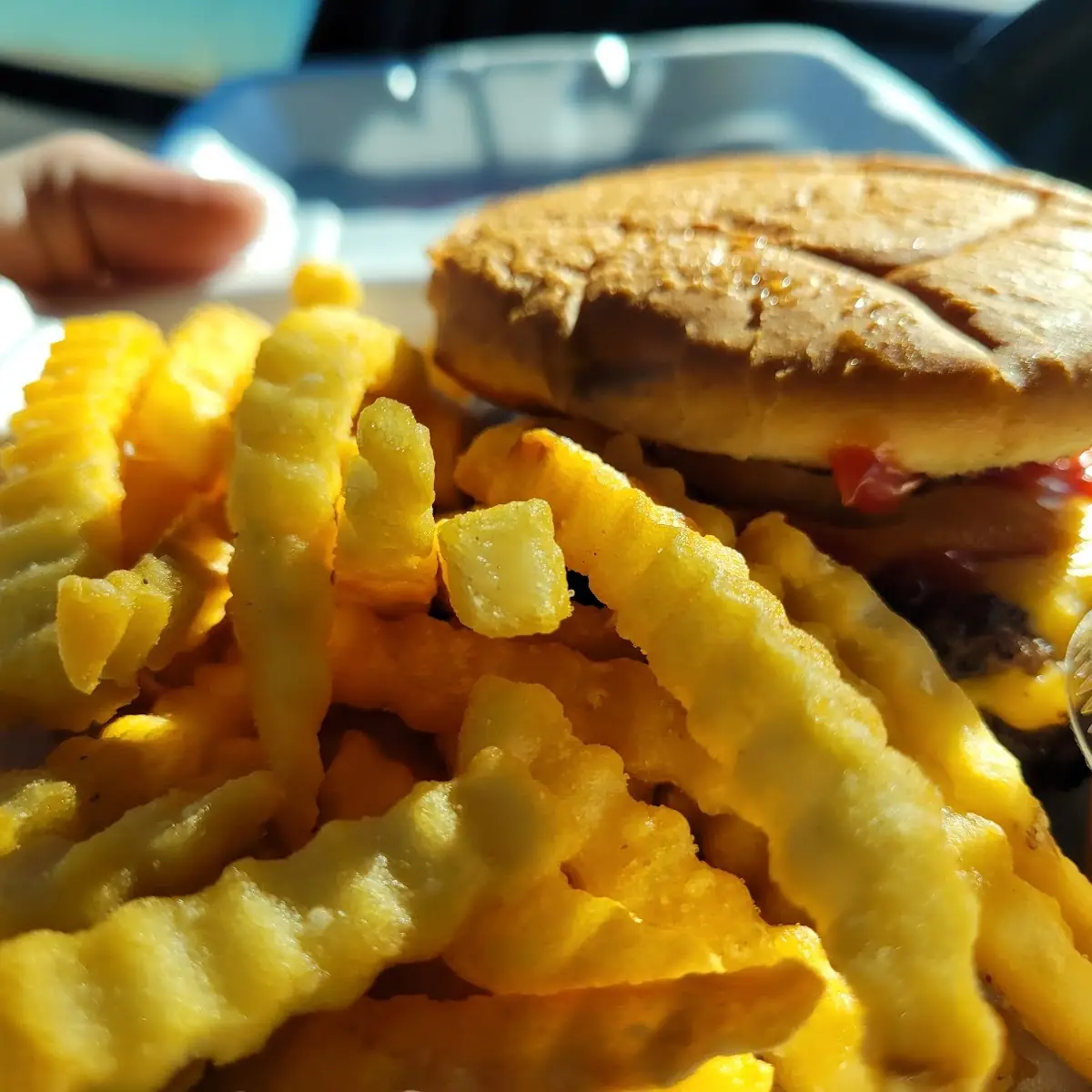 Dippys Double Cheeseburger with Fries