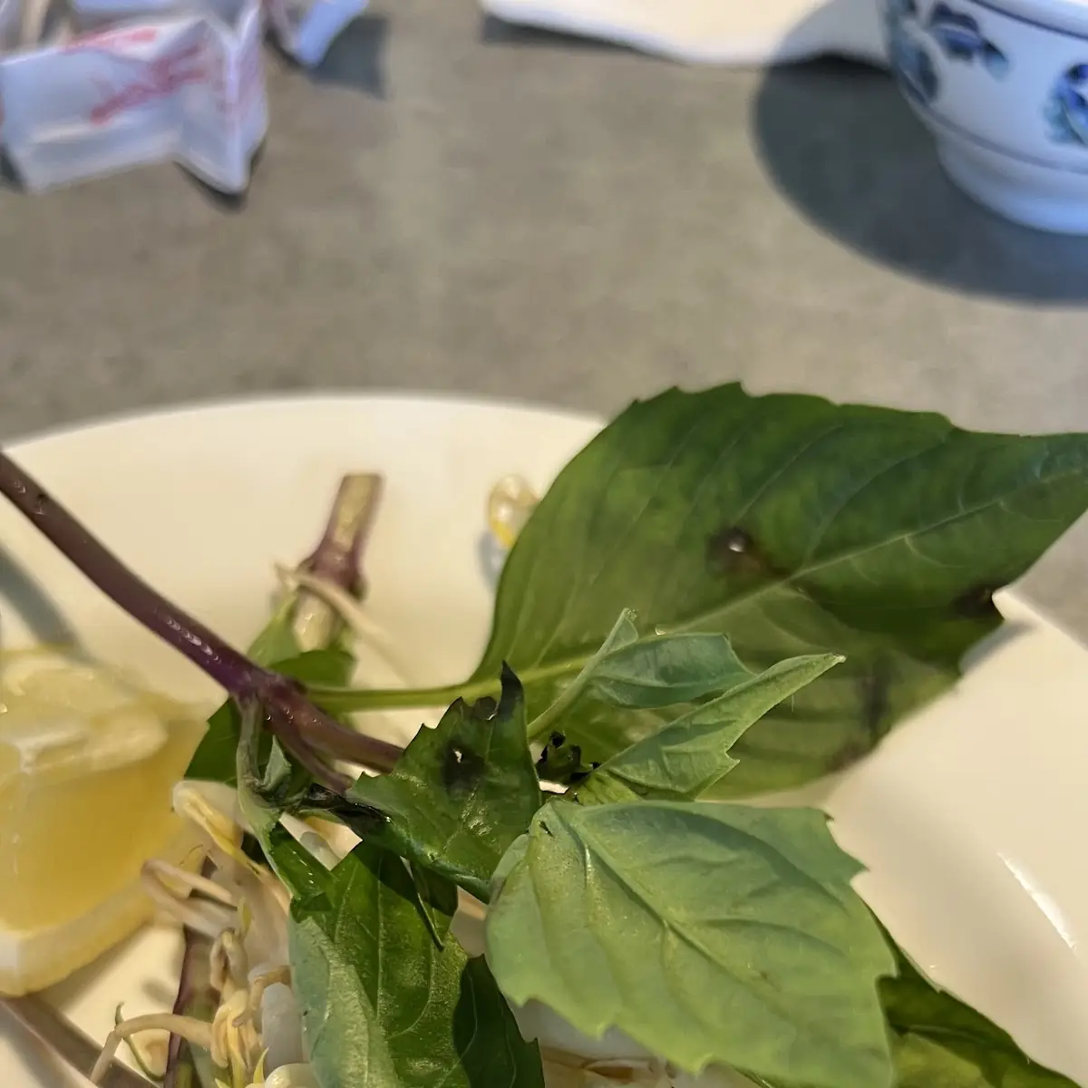 Thai Basil
