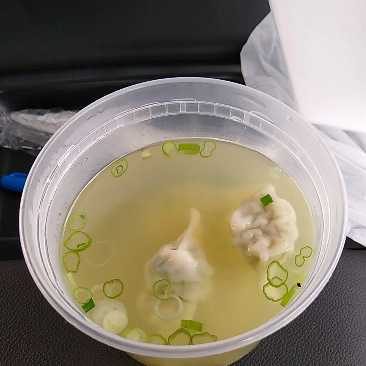 Wonton Soup