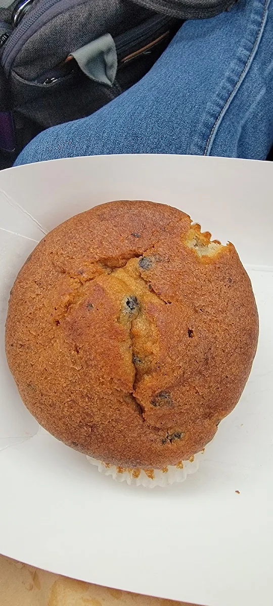 Blueberry Muffin