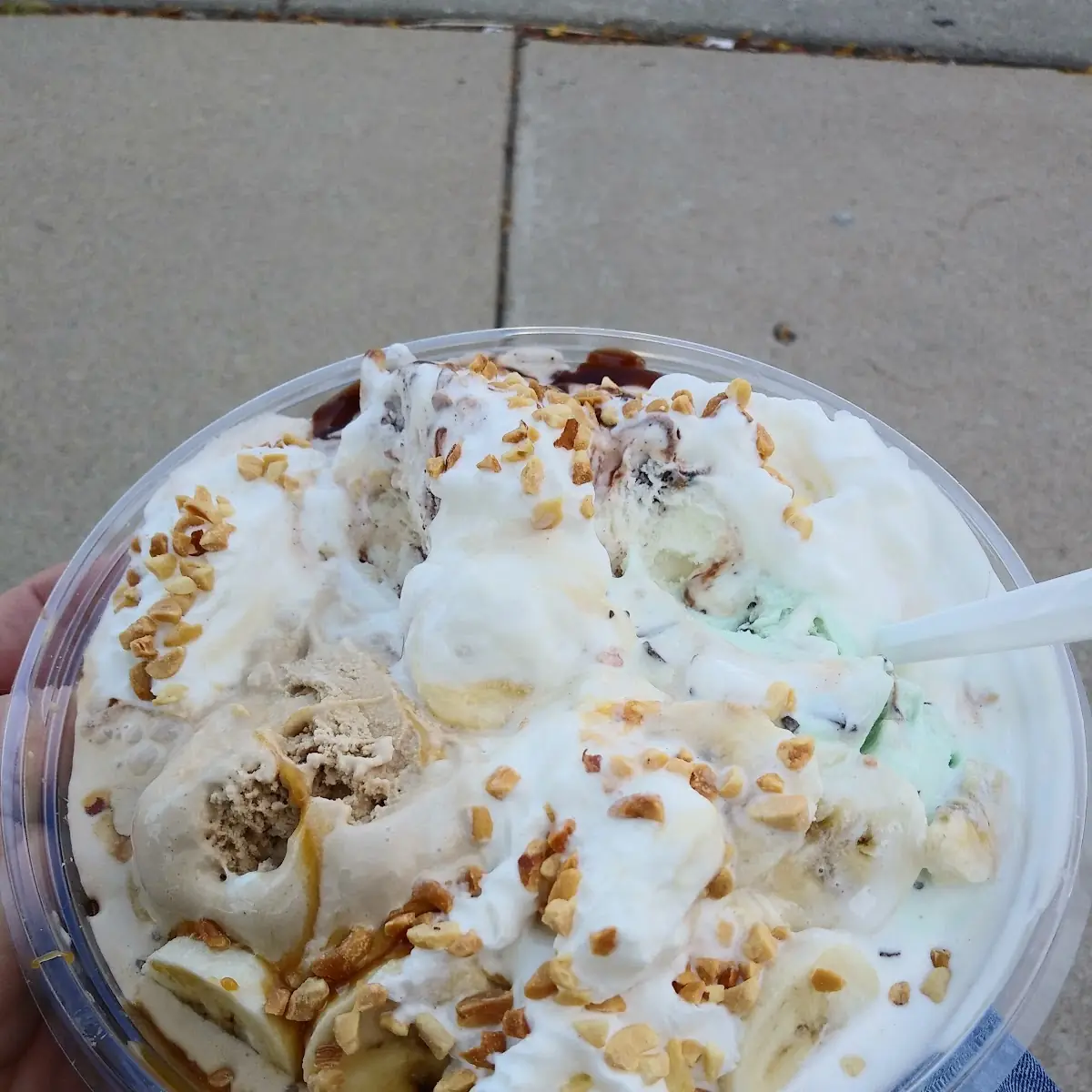 Chocolate Chip Cookie Dough Oreo Peanut Butter Orange Pineapple Lemon Sorbet