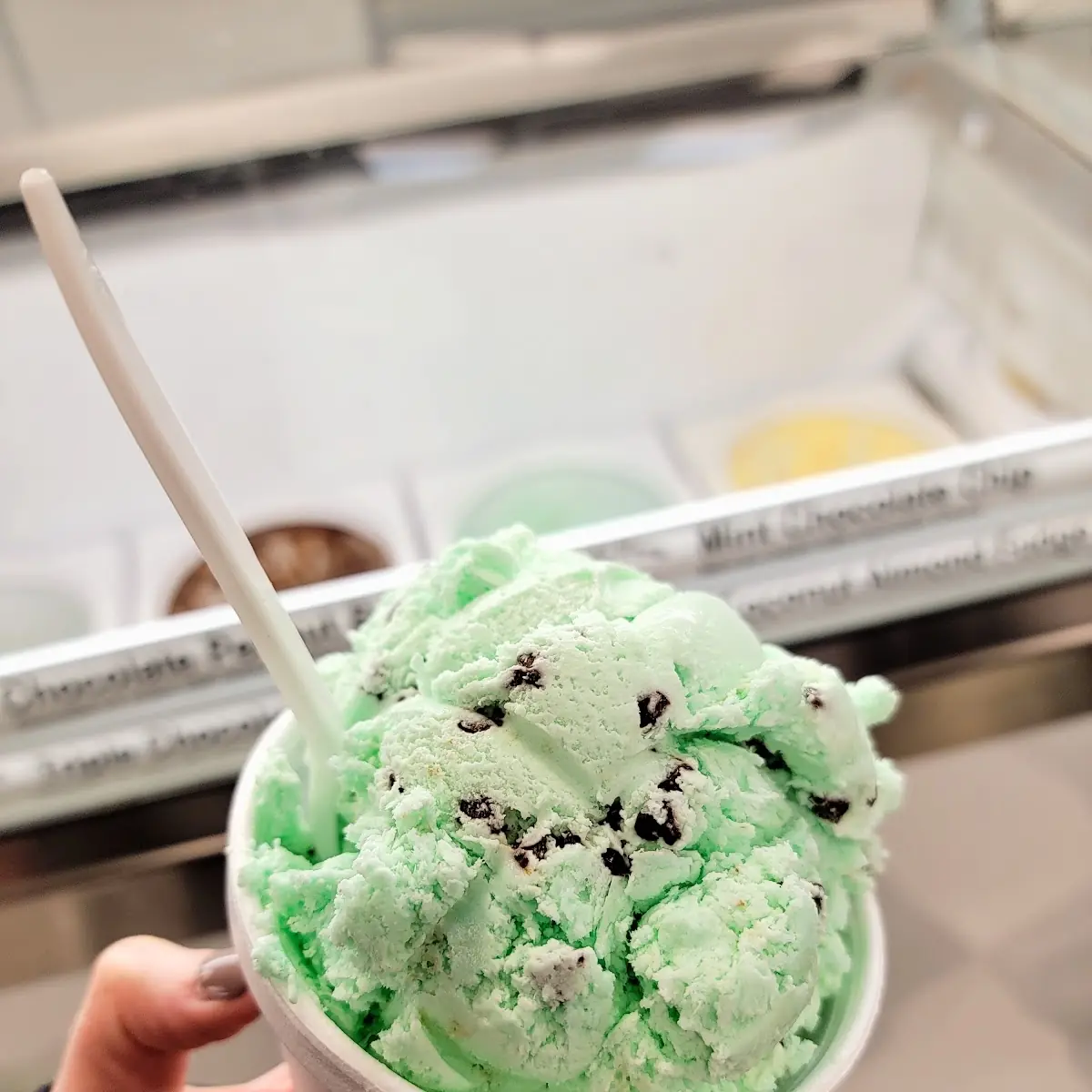 Mint Chocolate Chip
