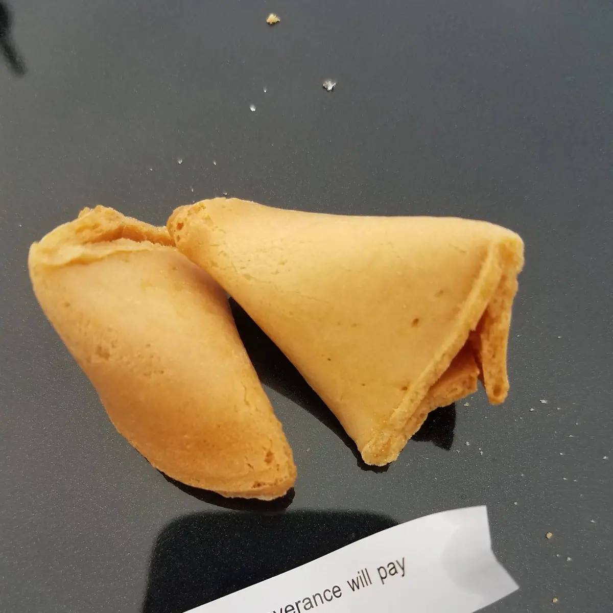 Fortune Cookie