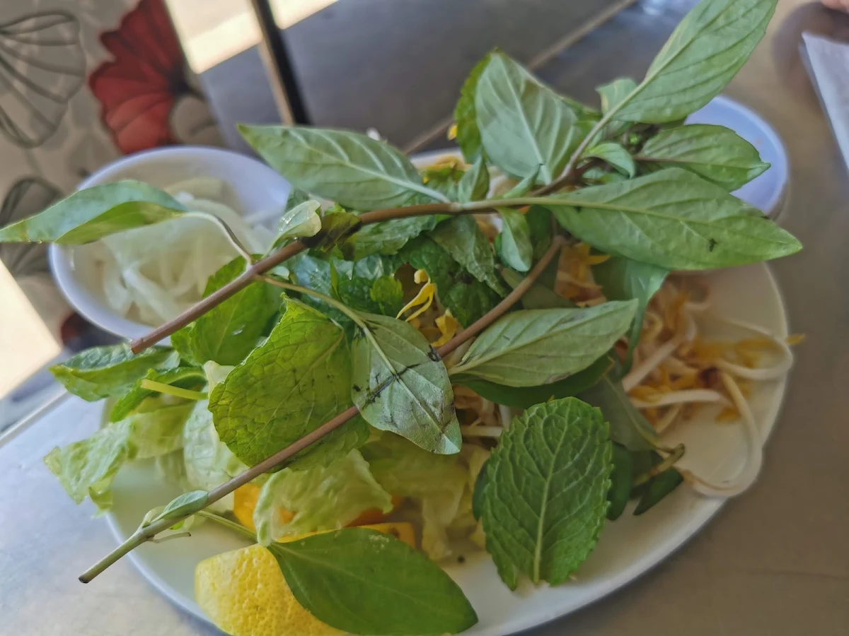 Herbs and Salad for Soup, Pho Hong Tam