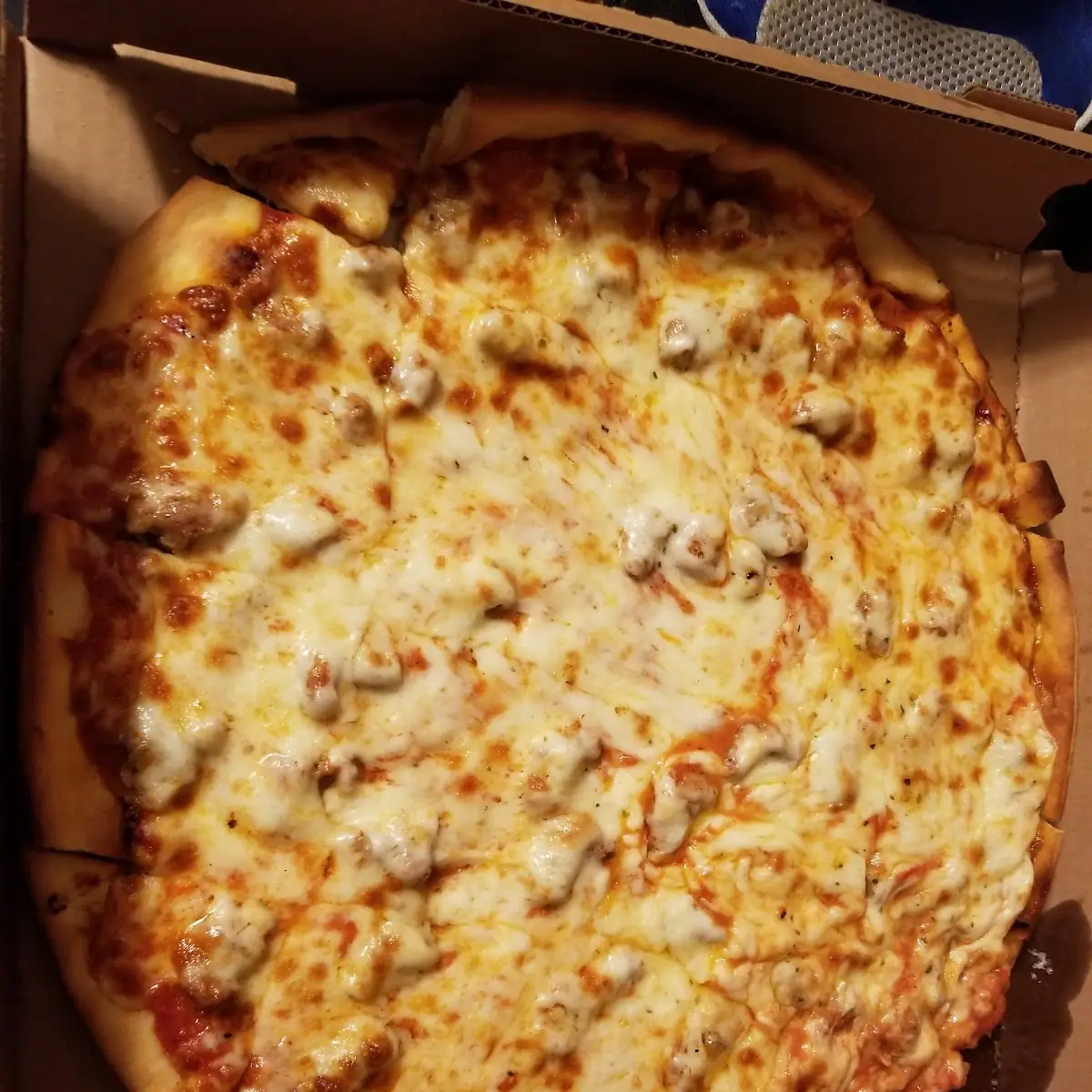 Regular Crust Half Cheese Half Goat Cheese Pizza