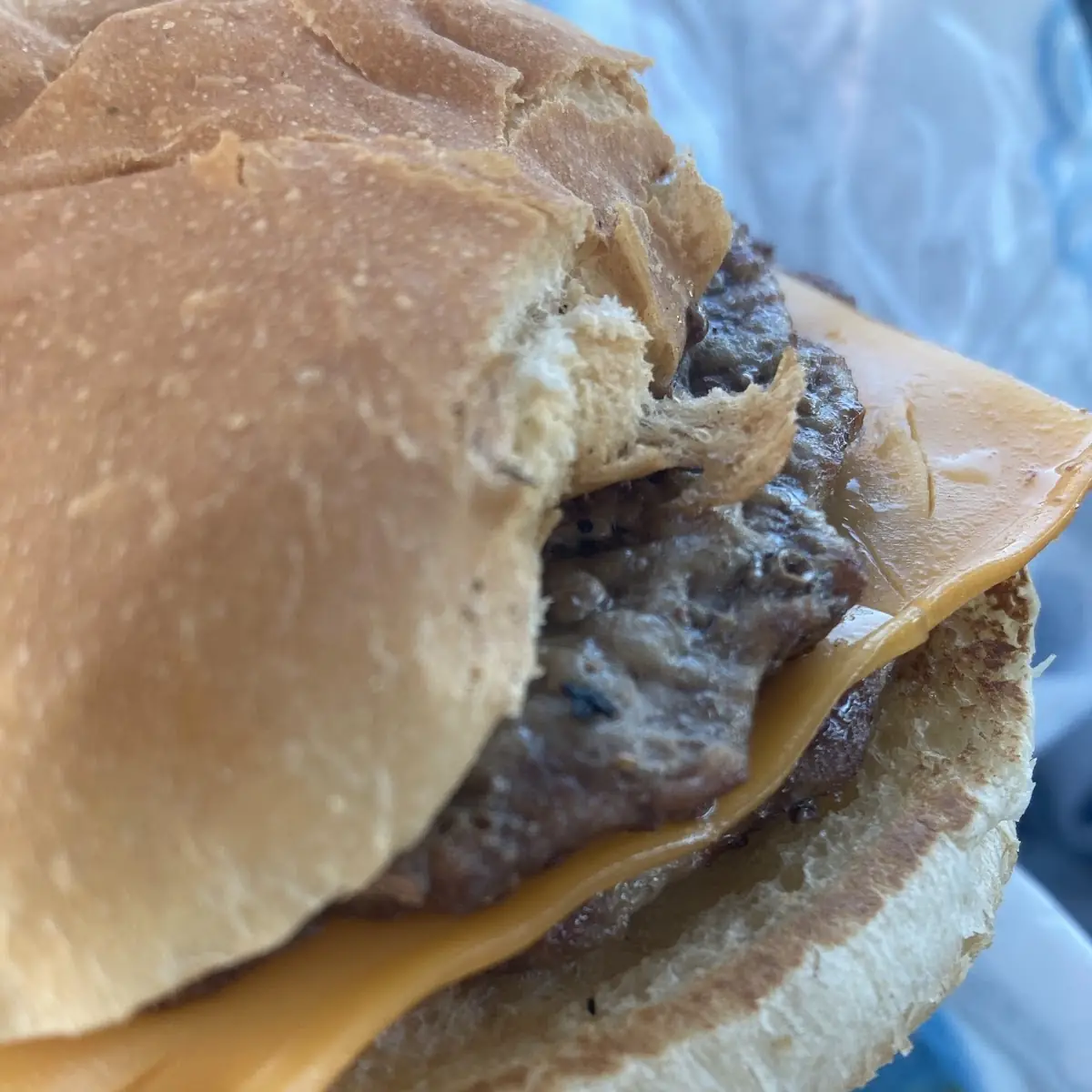 Double Cheeseburger