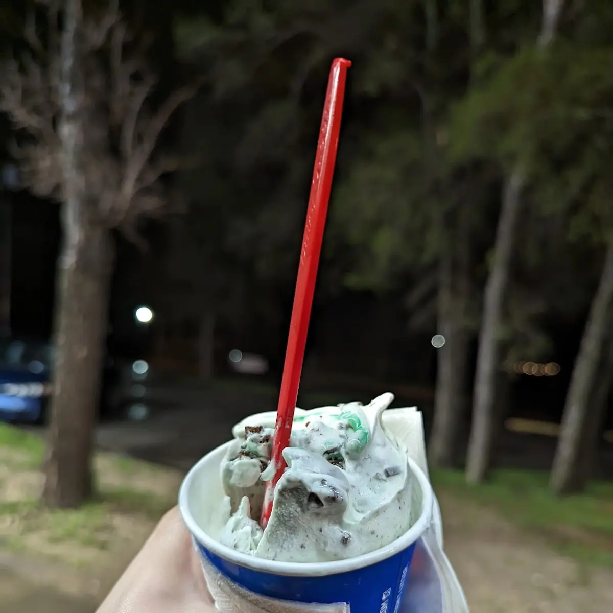 Mint Oreo Blizzard Treat