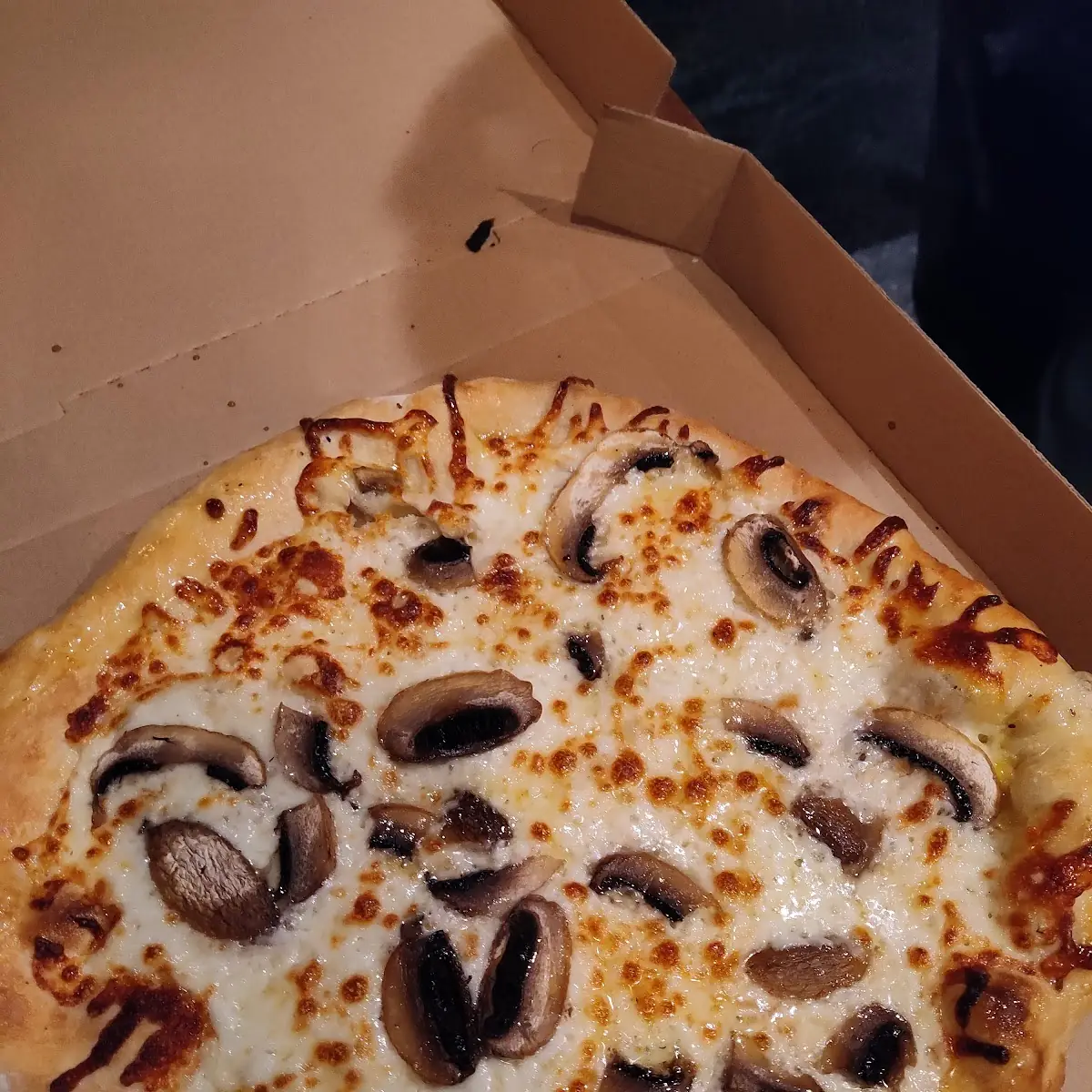 Mushroom Pizza