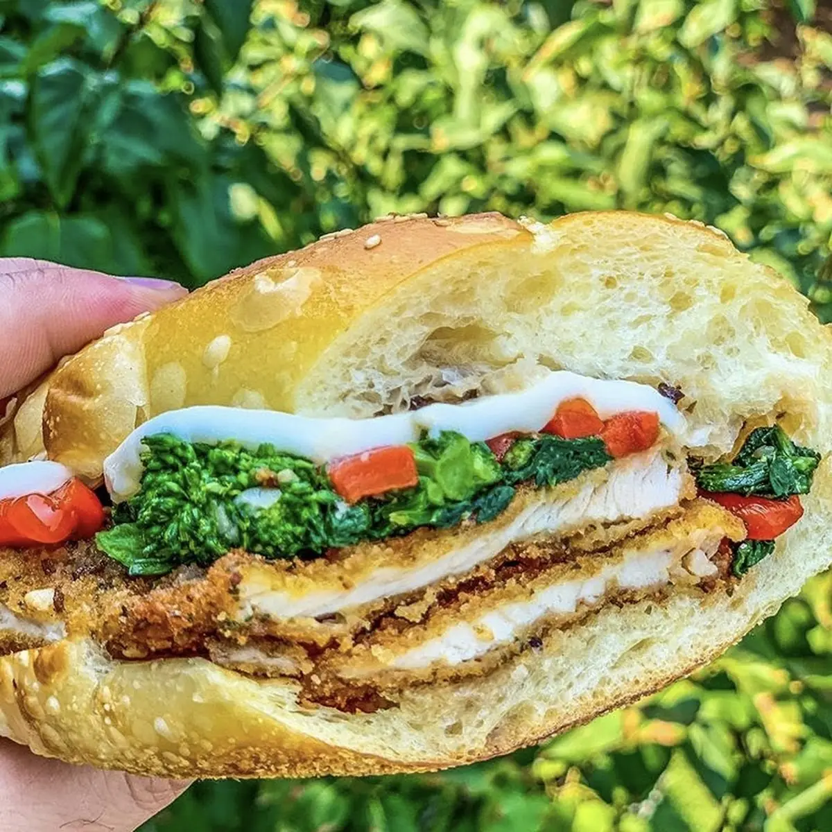Chicken Pesto Panini