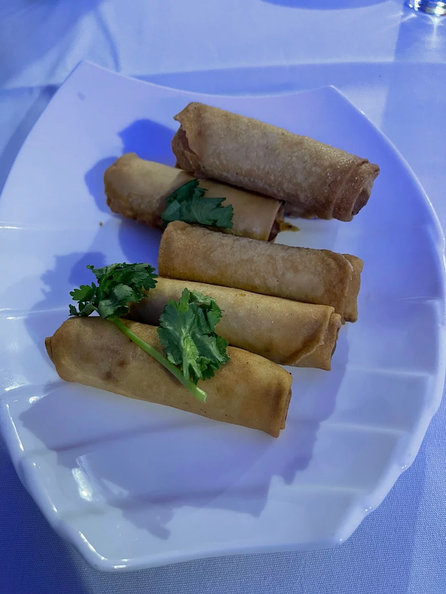 Vegetable Spring Rolls