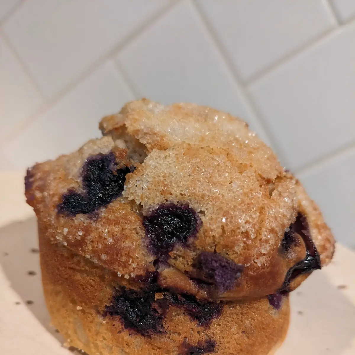 Lemon Blueberry Muffin