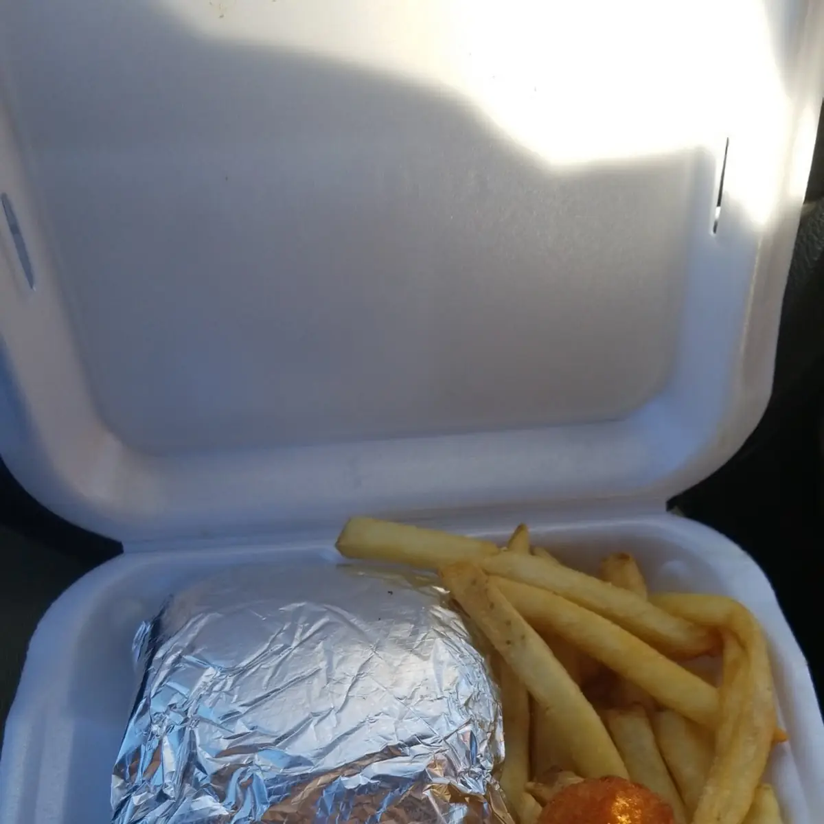 Big Double Bacon Cheeseburger with Fries