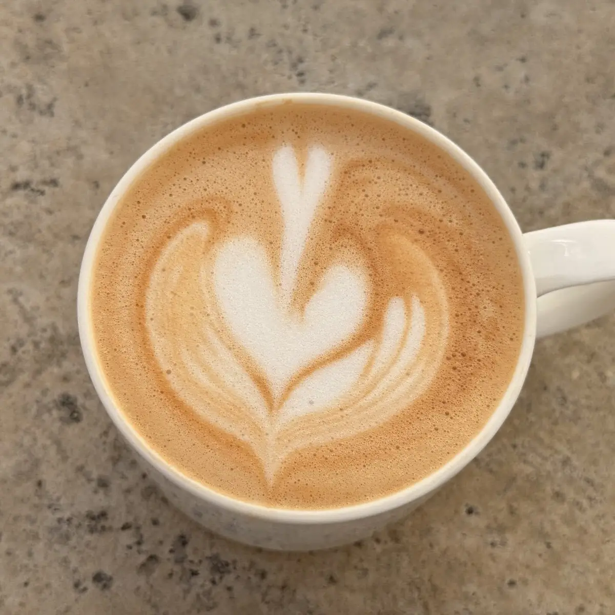 Gingerbread Latte with Oat Milk