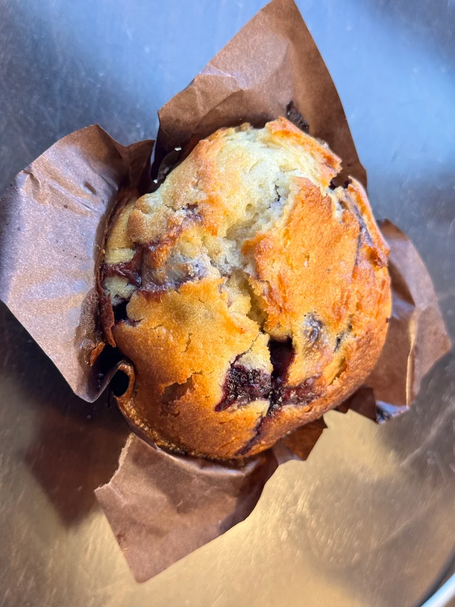 Blueberry Muffin