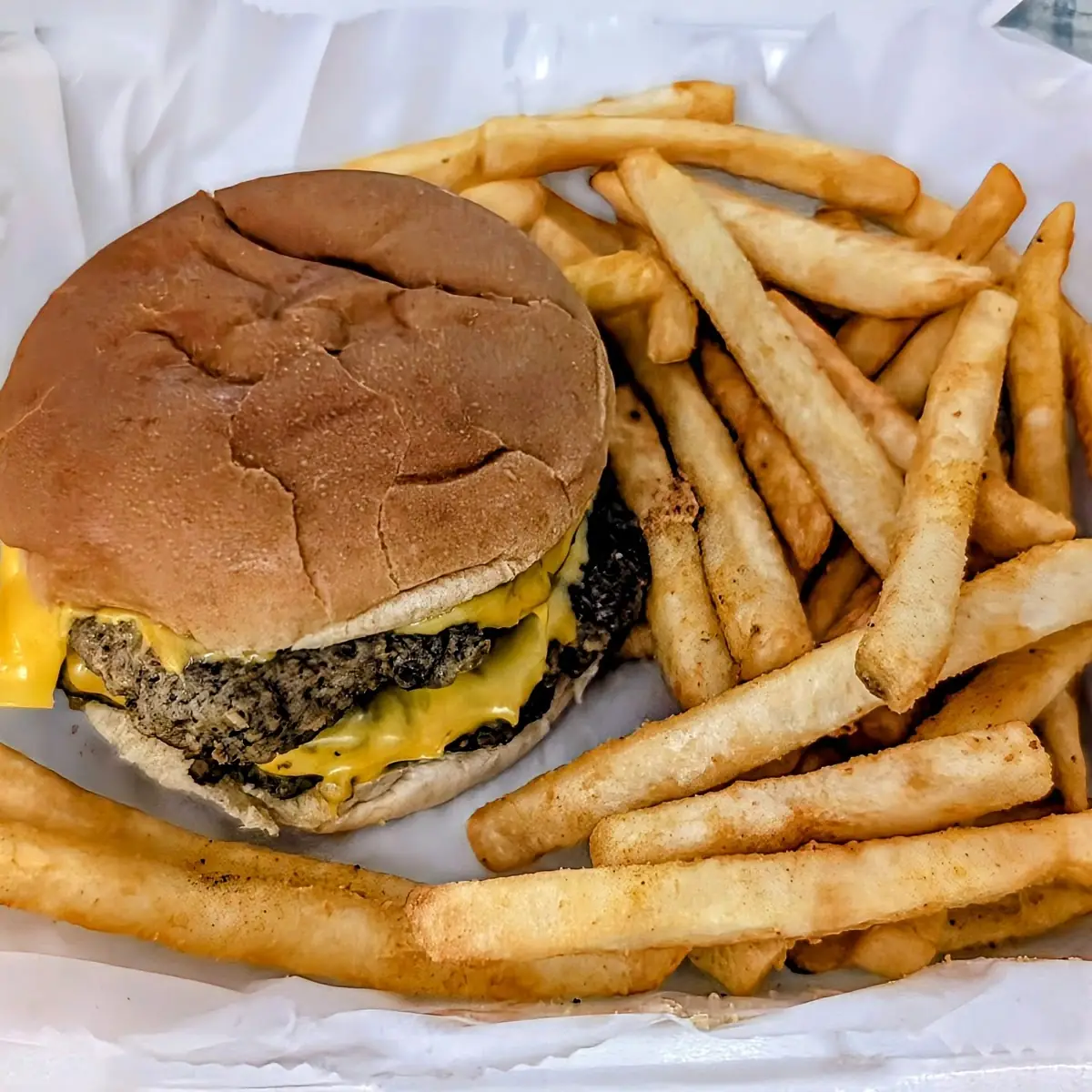 Double Cheeseburger with Fries
