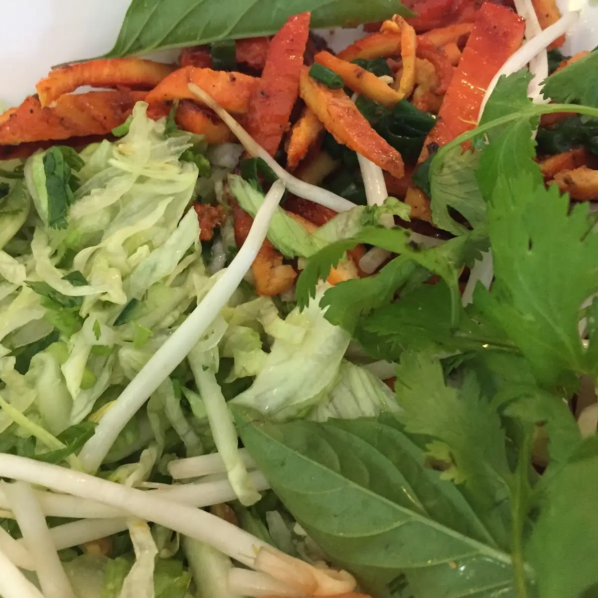 Chicken Noodle Bowl