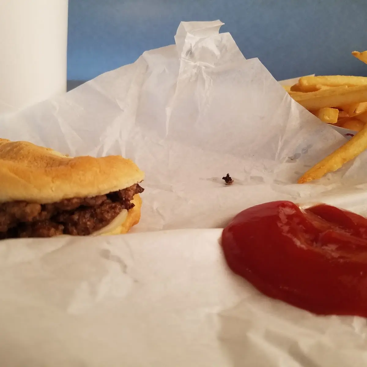 Double Pizza Burger and Fries
