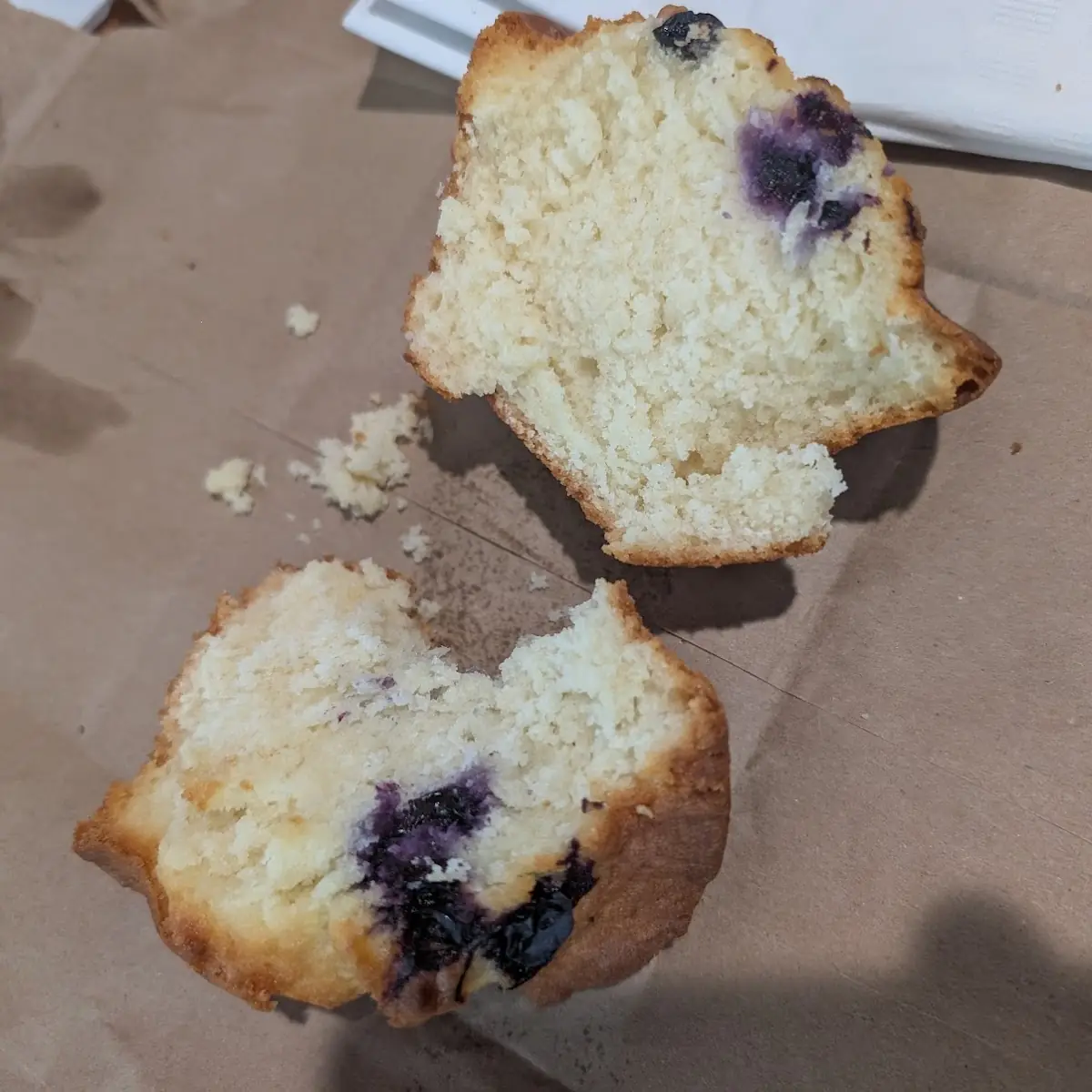 Blueberry Muffin