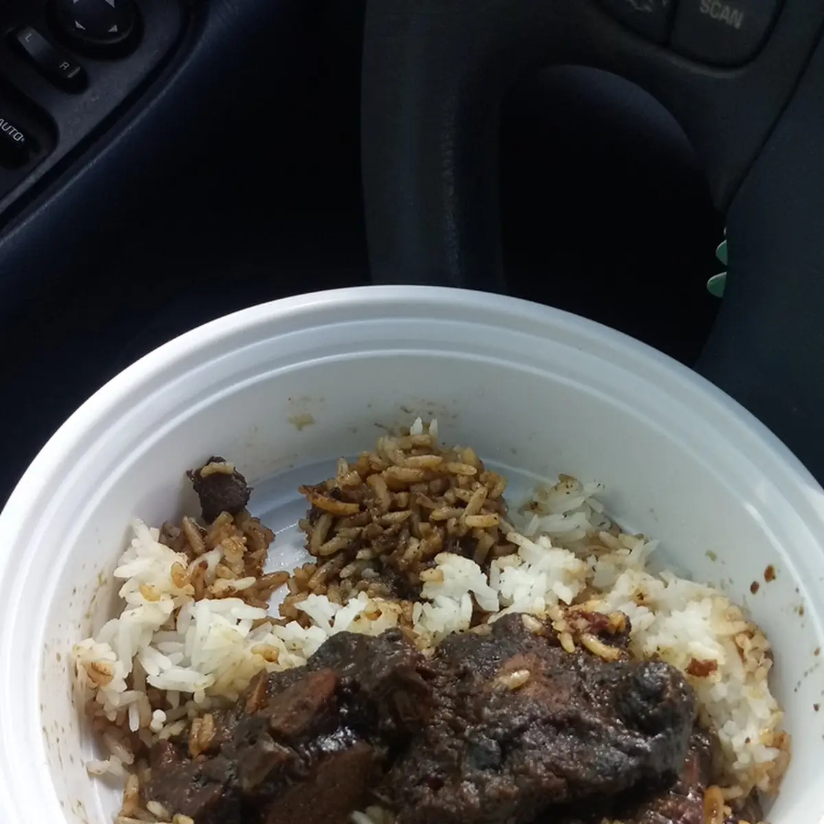 Large Ox Tail