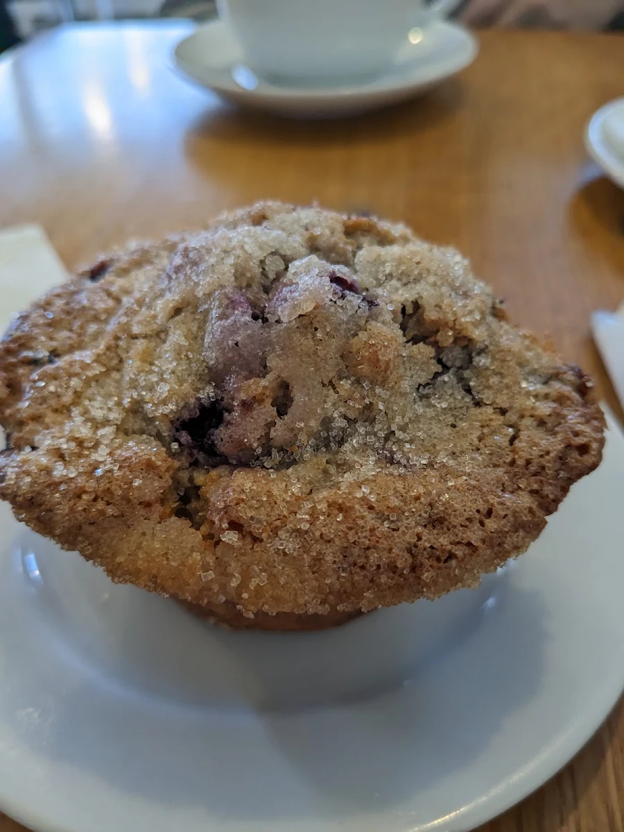 Blueberry Muffin