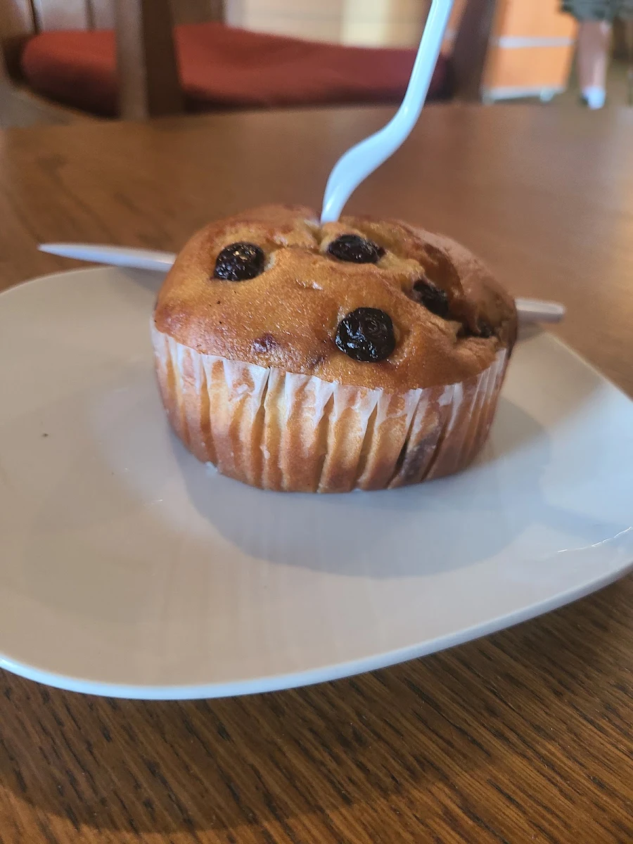 Blueberry Muffin
