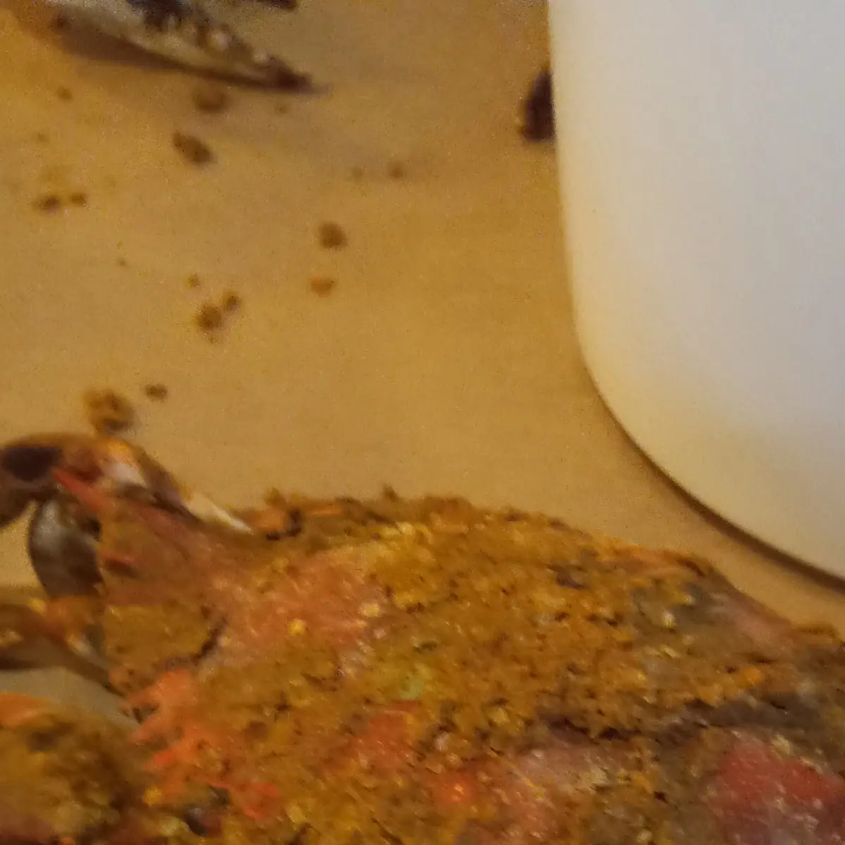 All You Can Eat Crabs