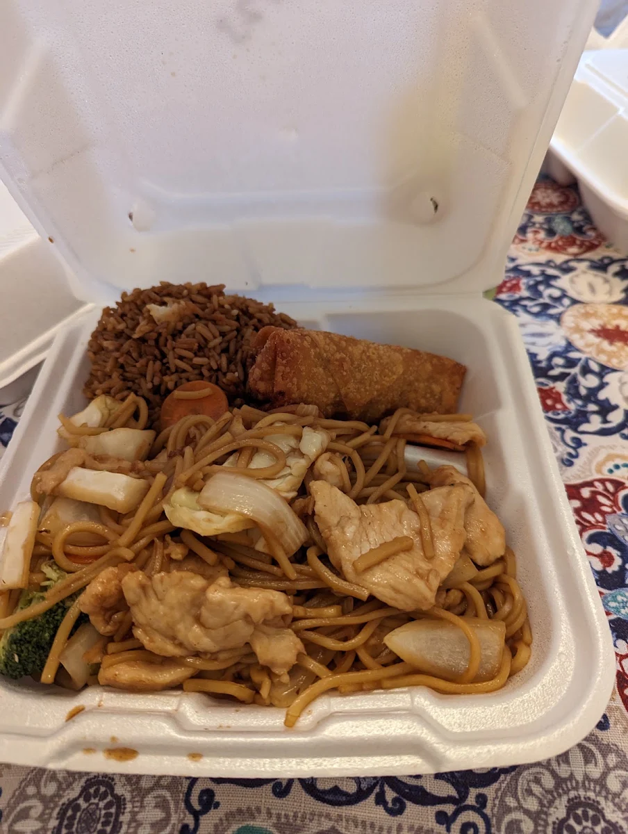 Lo Mein Noodles Chicken Fried Rice