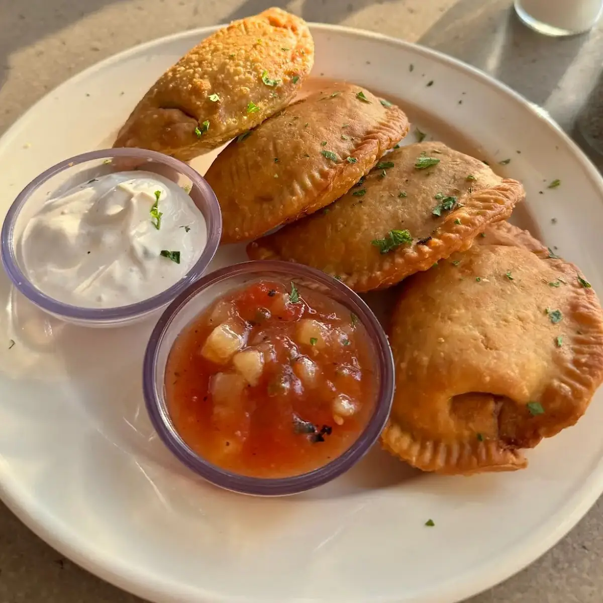 Frozen Beef Empanadas