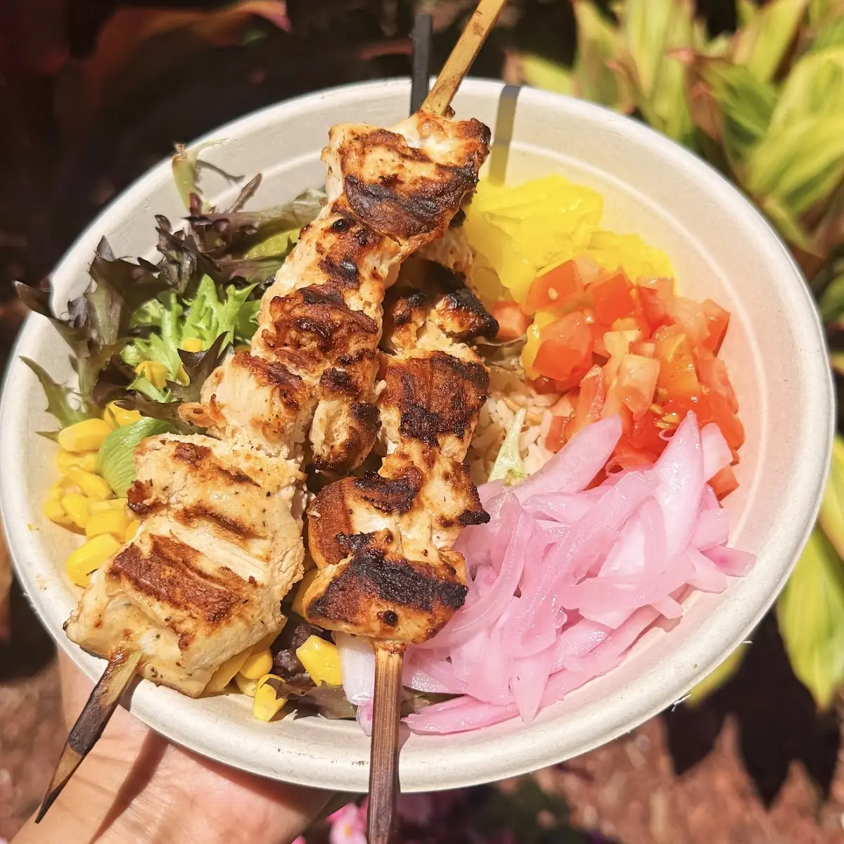 Oliv Grilled Chicken Kebab