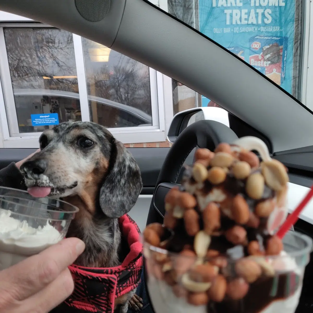 They Have Pup Cups Too