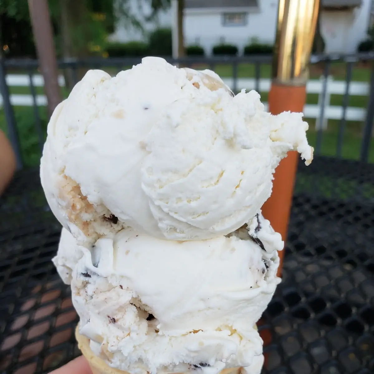 Chocolate Chip Cookie Dough