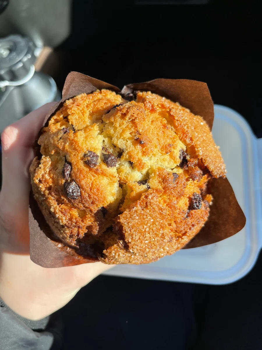 Blueberry Muffin