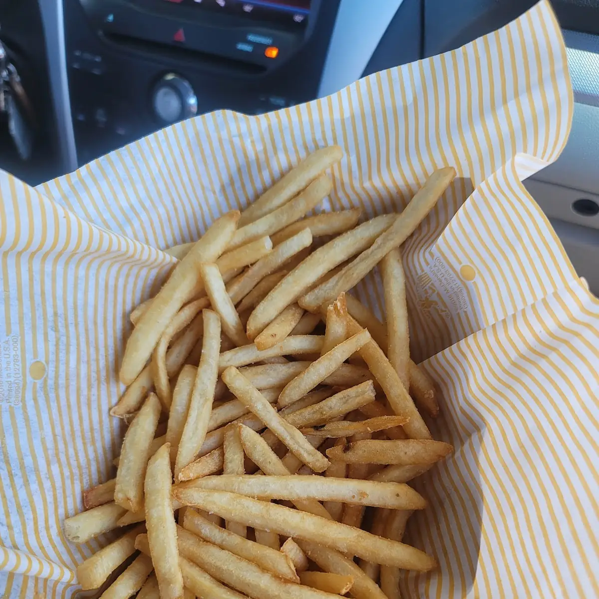 World Famous Fries