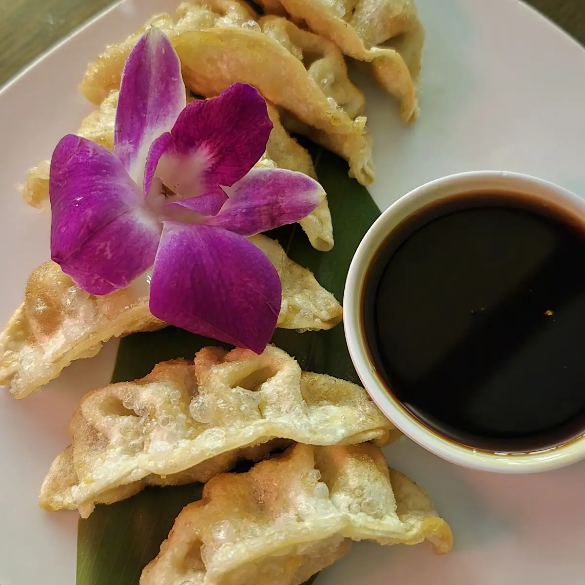 Pork Gyoza