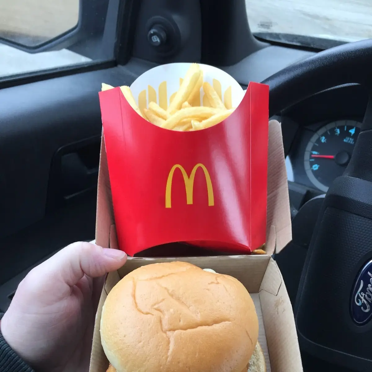 Fish Sandwich Combination