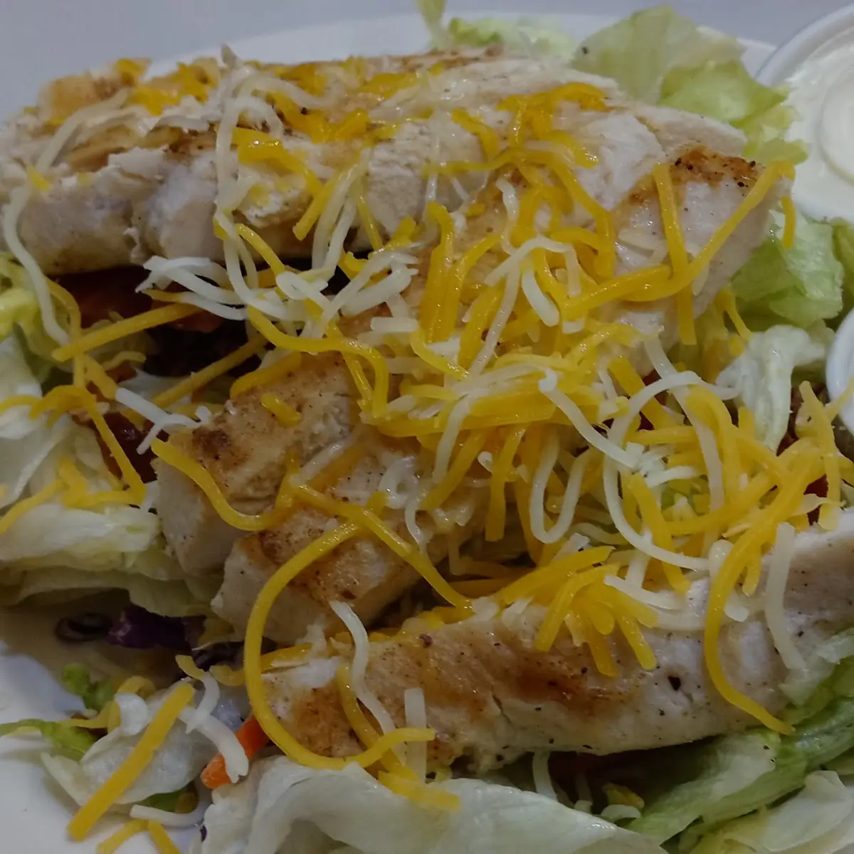 Grilled Chicken Salad