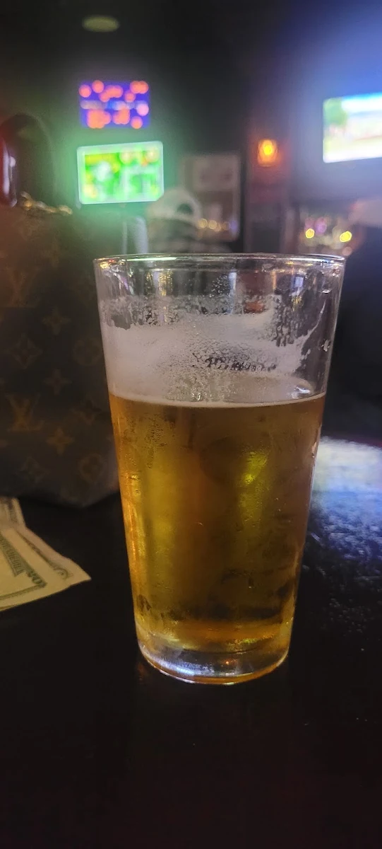 IPA Elysian Space Dust Beer