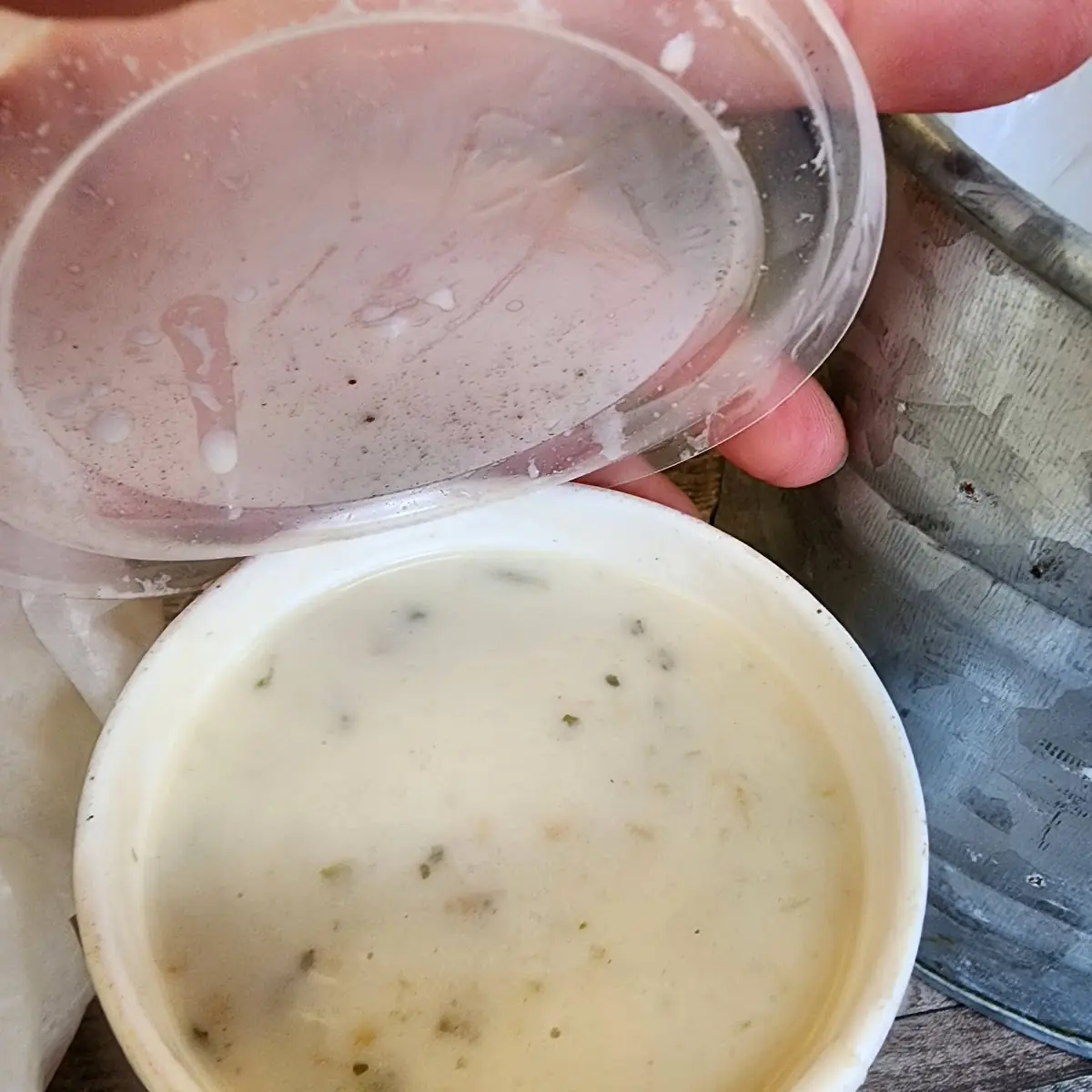 Clam Chowder