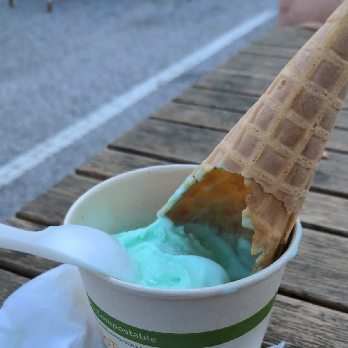 Mint Chocolate Chip Ice Cream