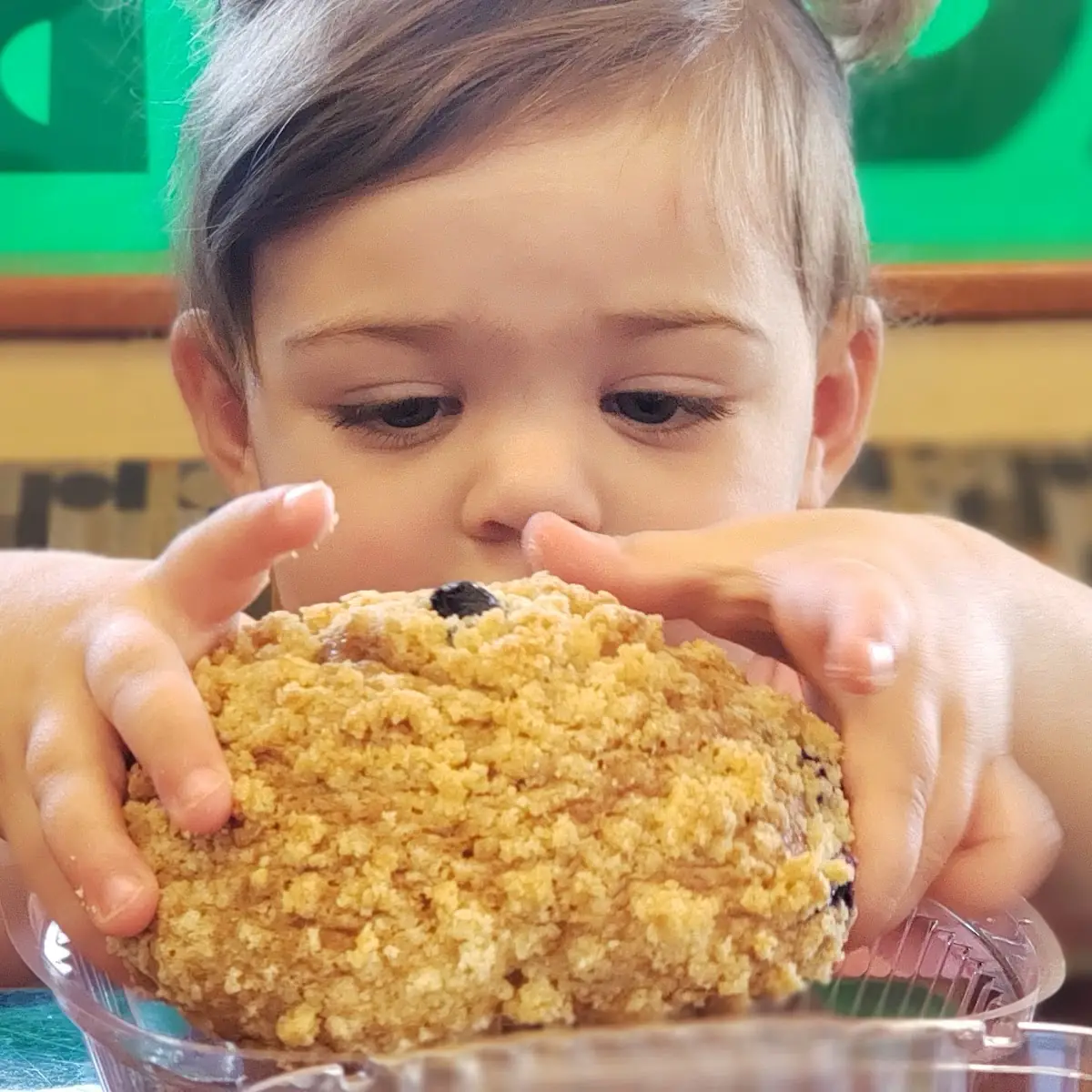 Blueberry Muffin