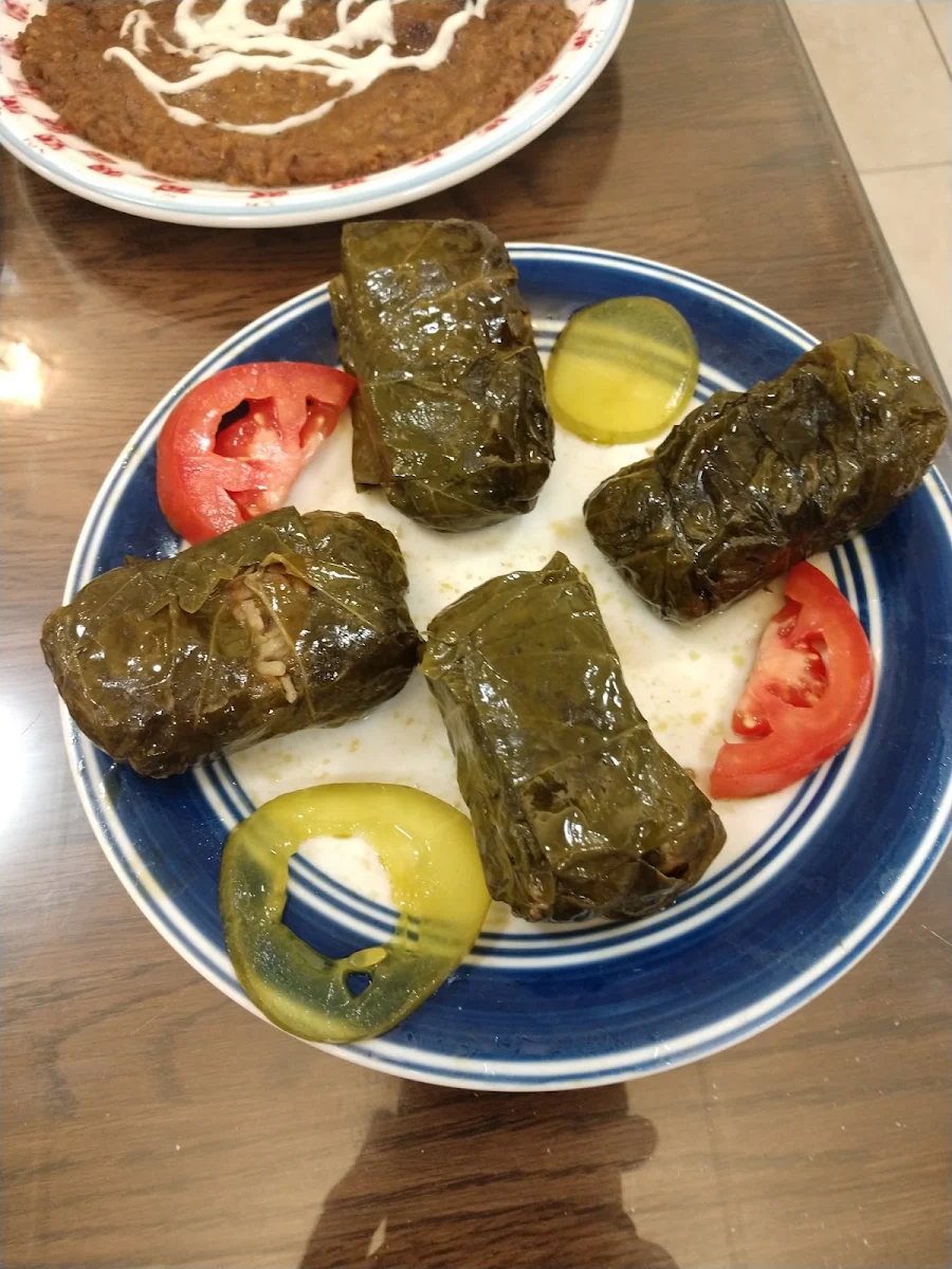 Dolmeh Stuffed Grape Leaves