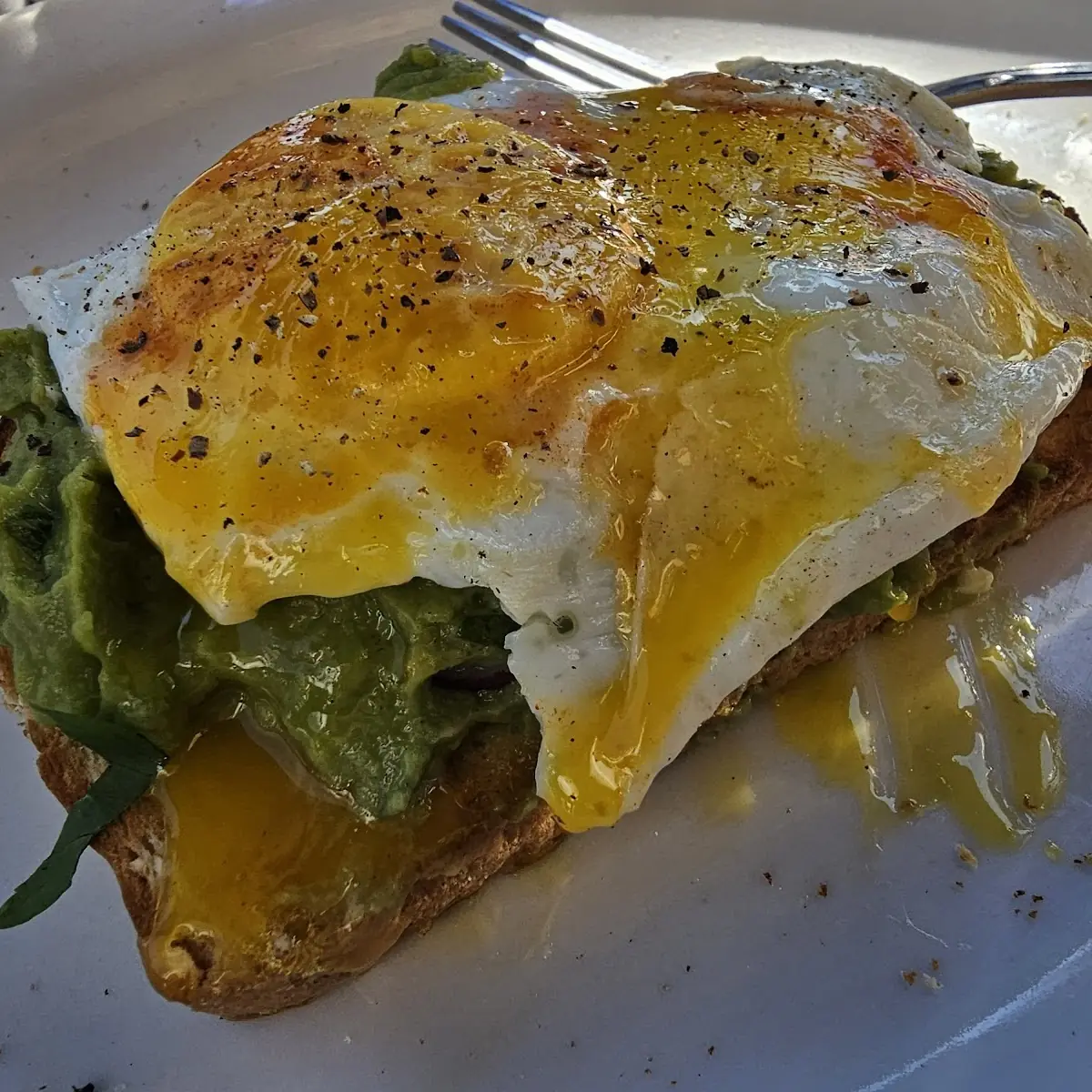 Avocado Toast