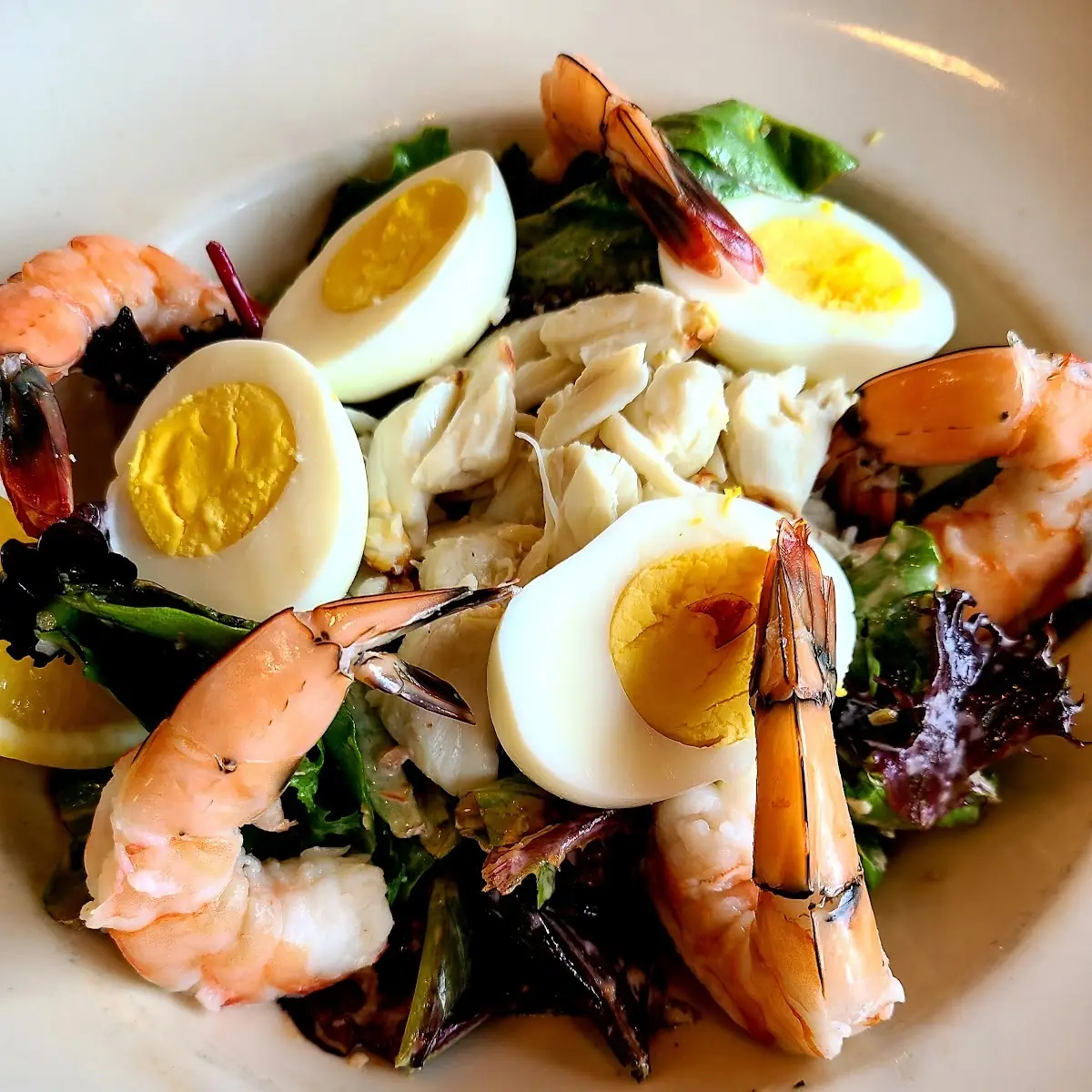Wild Salmon Niçoise