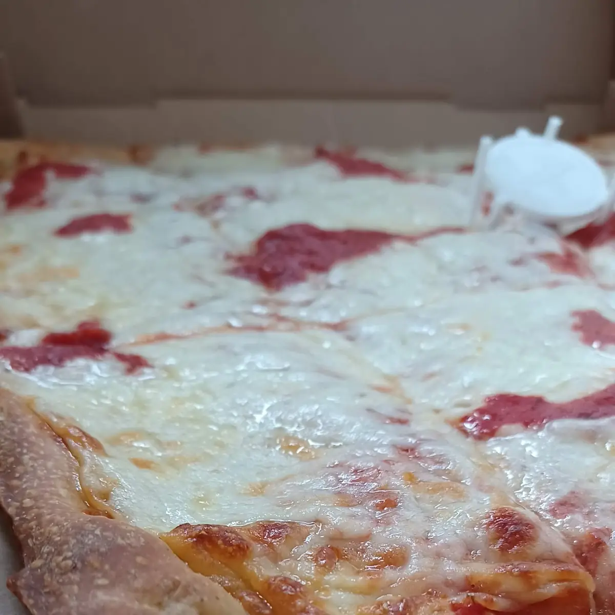 Sicilian Cheese Pizza