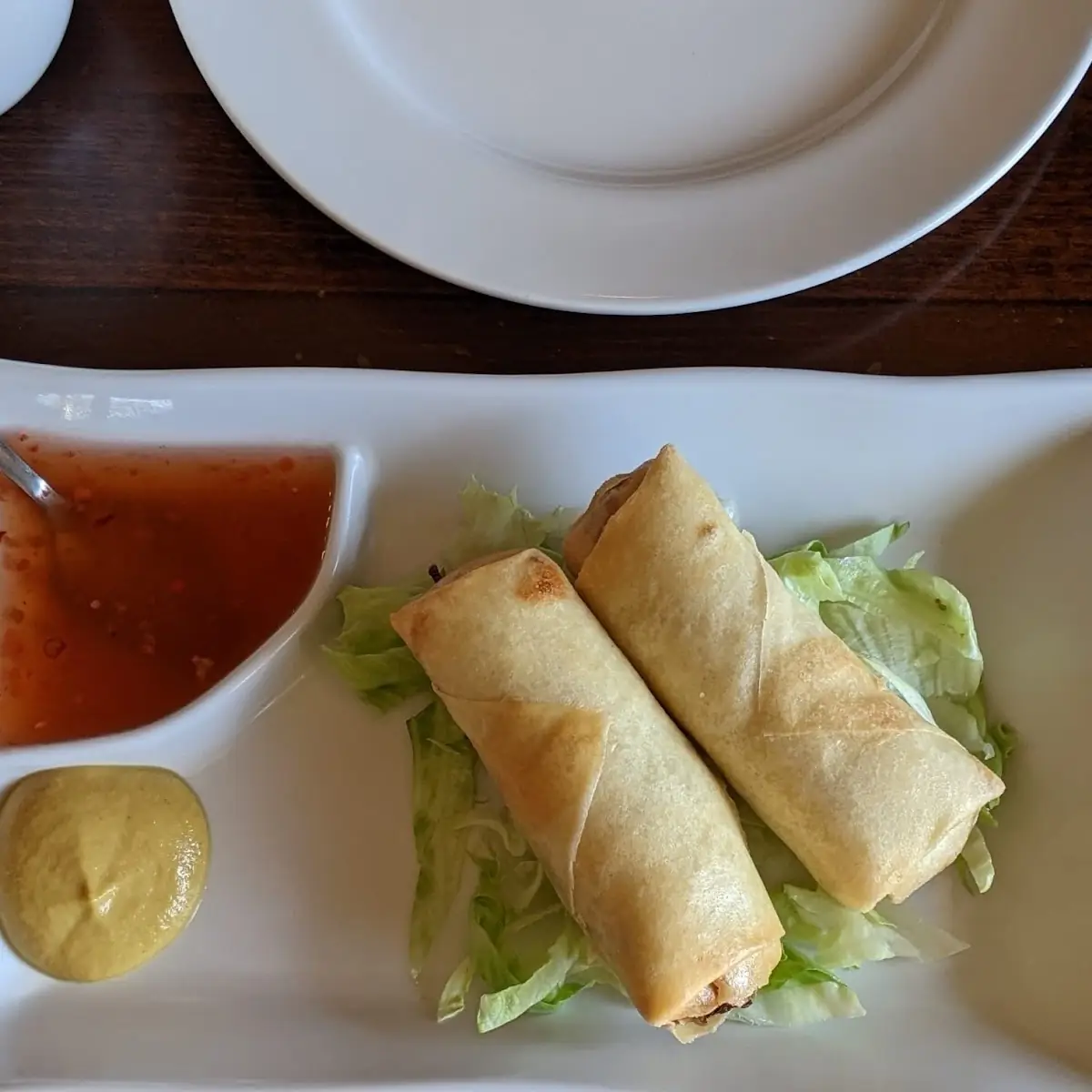 Vegetable Spring Rolls Are Fantastic