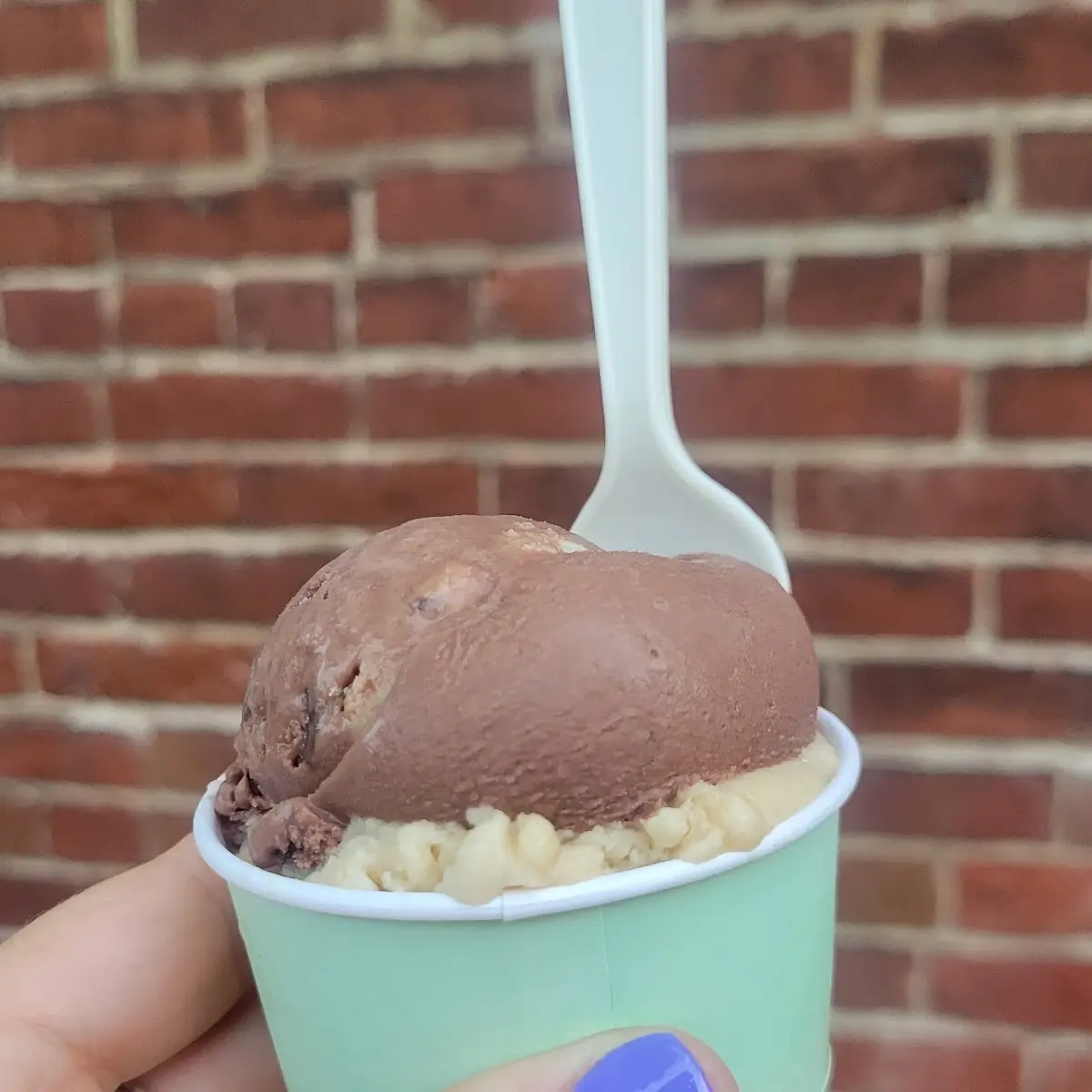 Cookie Monster Ice Cream