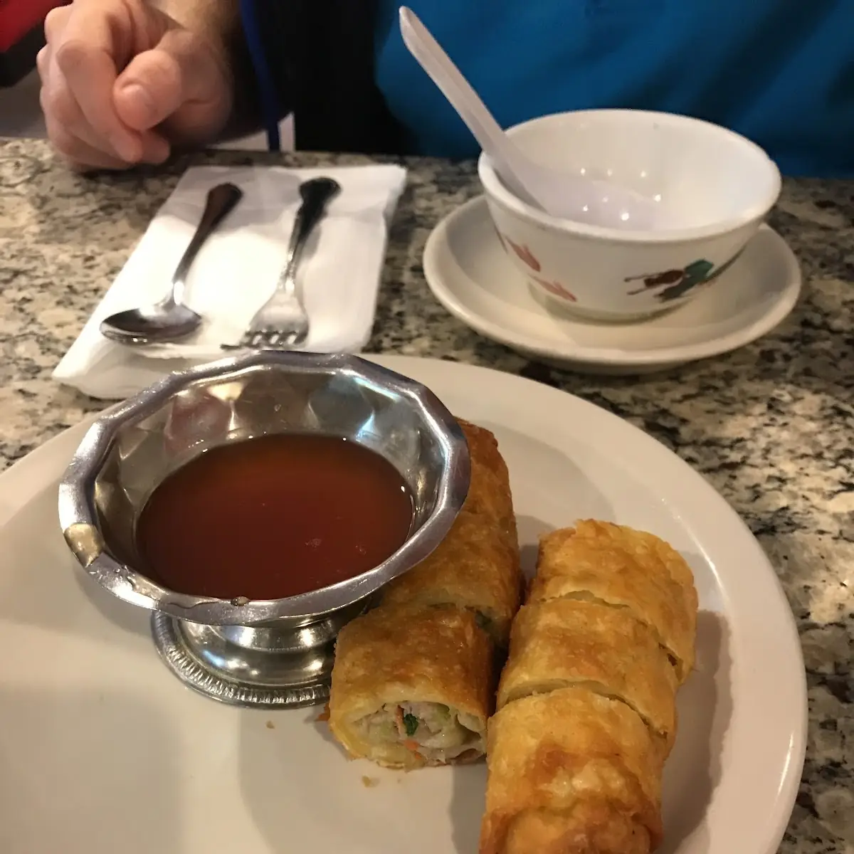 Vegetable Spring Rolls Fried