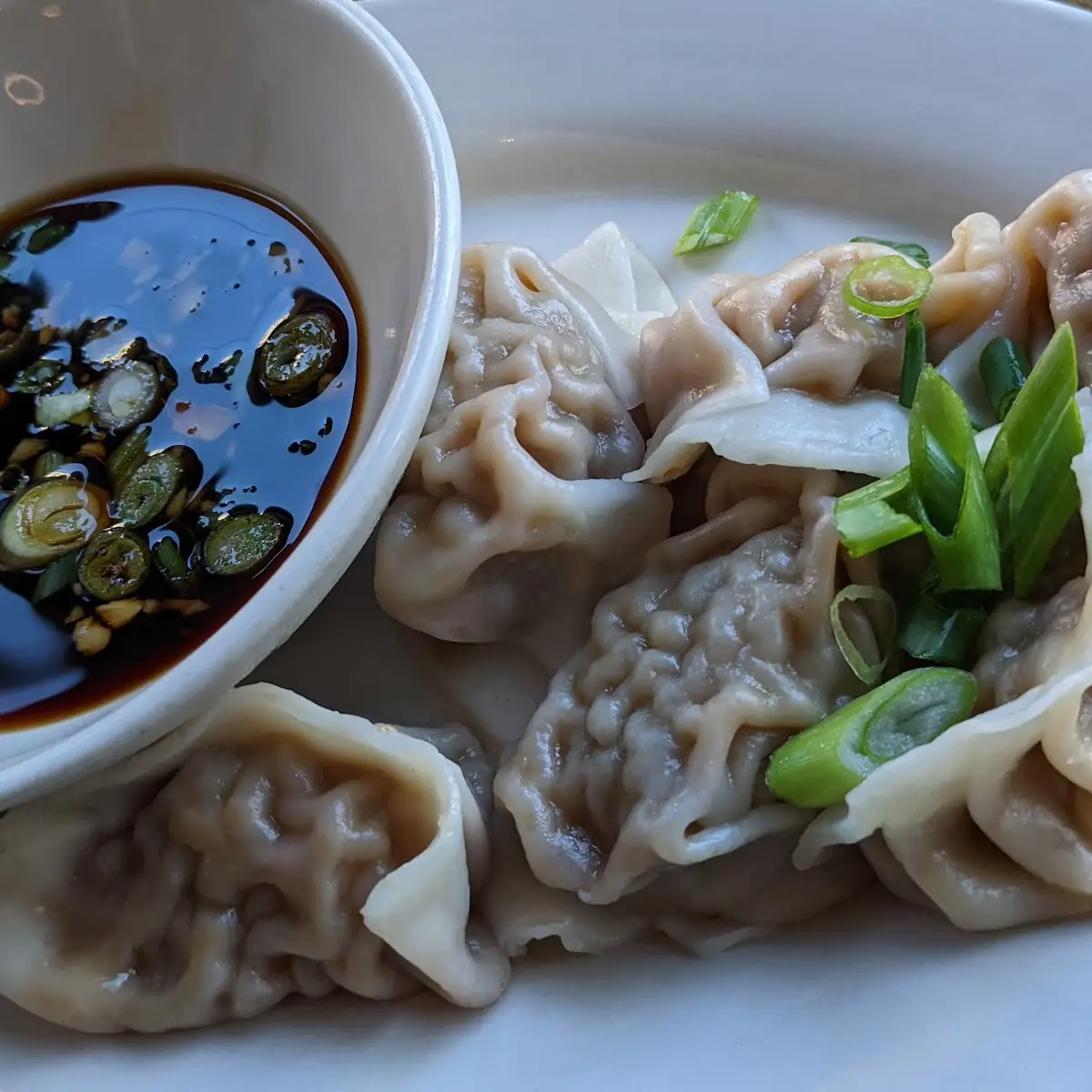 Pork Dumplings