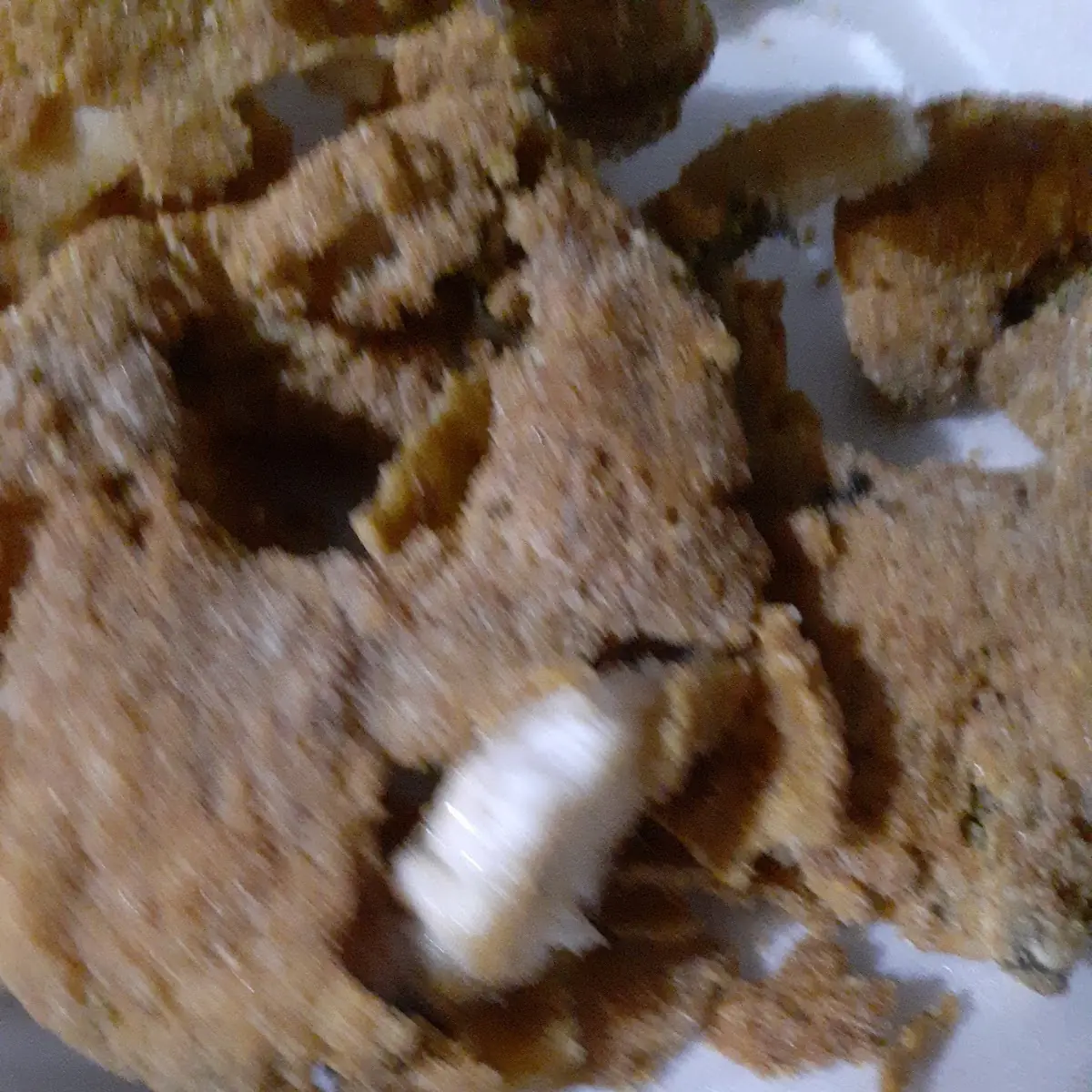 Cat Fish