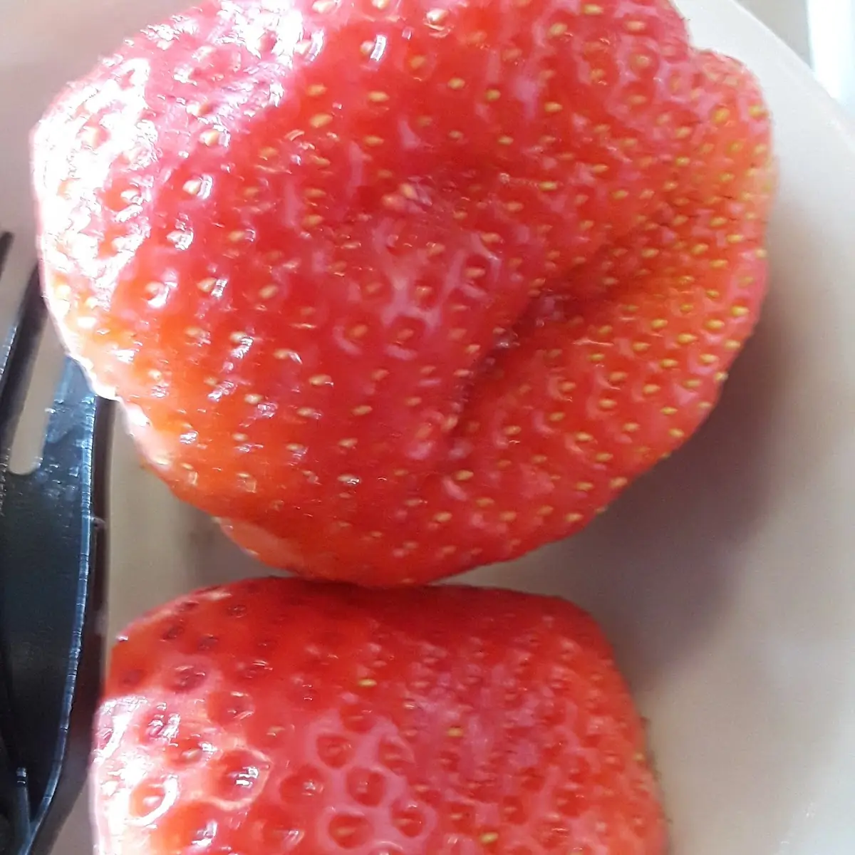 Its Was a Fruit Cup